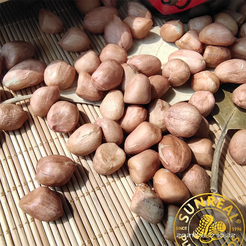 Raw Peanut KernelsHsujiBest QualityFine PackingGood Service