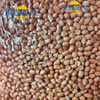 Raw Peanut Kernels/Hsuji/Fine Packing/Multipurpose/Good Price/All Size