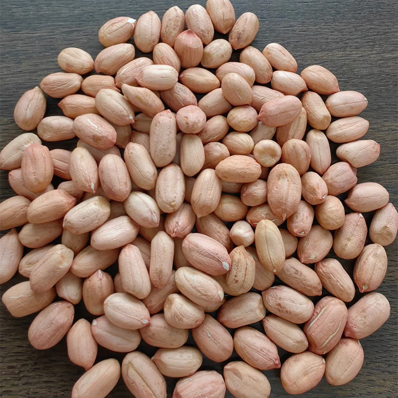 Raw Peanut Kernels with Skin/Virginia Type /Size 24/26