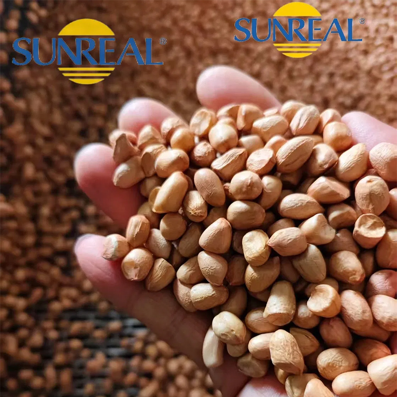 Raw Peanut Kernels/Hsuji/Fine Packing/Multipurpose/Good Price/All Size