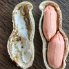 Raw Peanut Kernels with Skin/Virginia Type /Size 24/26