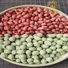 Roasted Peanut Kernels with Skin/Red Skin/Crispy&Fresh/Fine Packing
