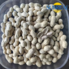 Virginia Peanuts /Raw Peanut in Shell /China /Haihua /New Crop