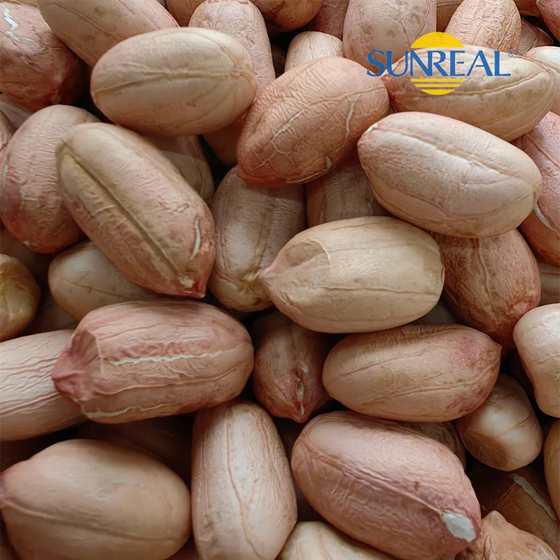 Raw Peanut Kernels with Skin/Virginia Type /Size 24/26