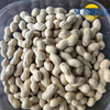Virginia Peanuts /Raw Peanut in Shell /China /Haihua /New Crop