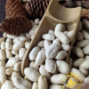 PukeeRaw Blanched Peanut KernelsVirginiaQuality AssuranceChina