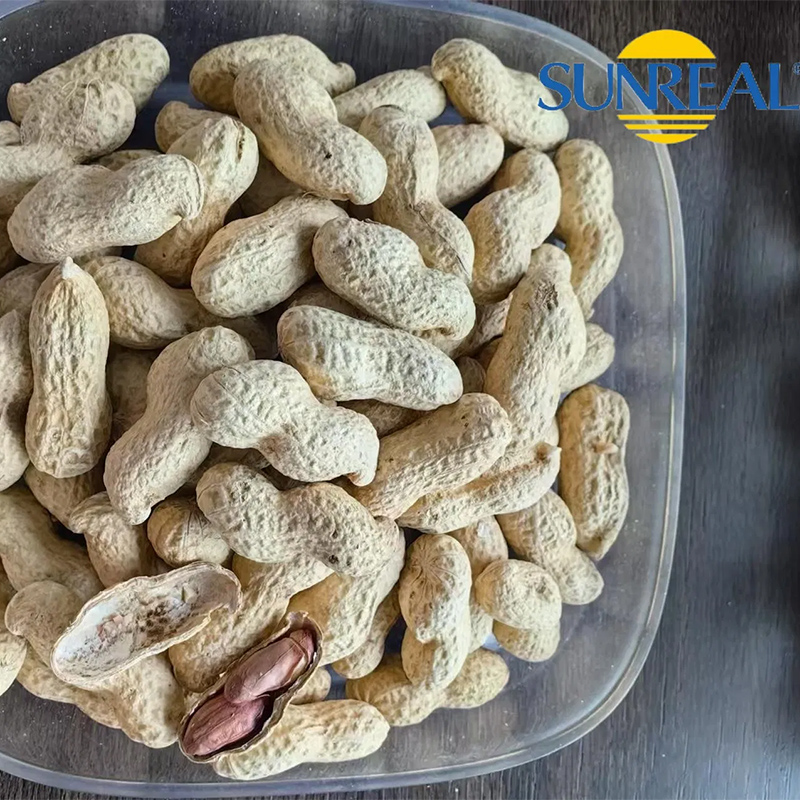 Virginia Peanuts /Raw Peanut in Shell /China /Haihua /New Crop