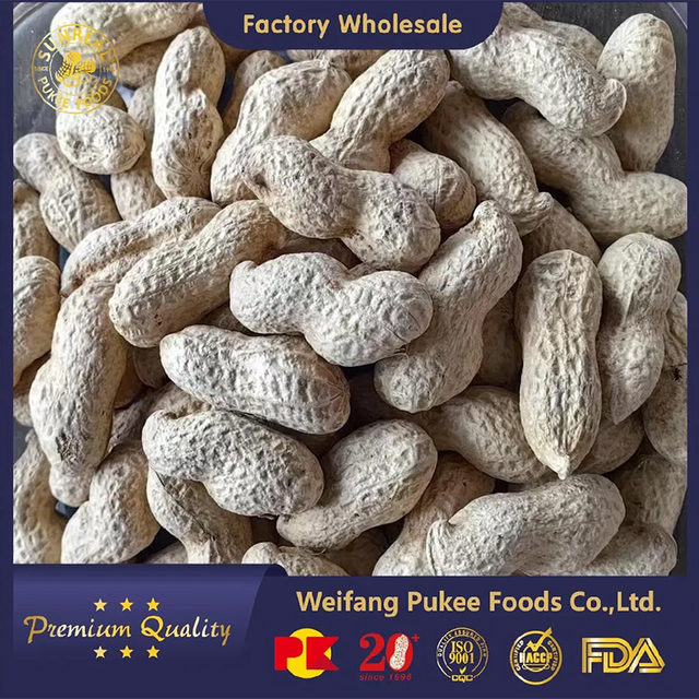 Virginia Peanuts /Raw Peanut in Shell /China /Haihua /New Crop