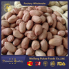 Raw Peanut Kernels with Skin/Virginia Type /Size 24/26