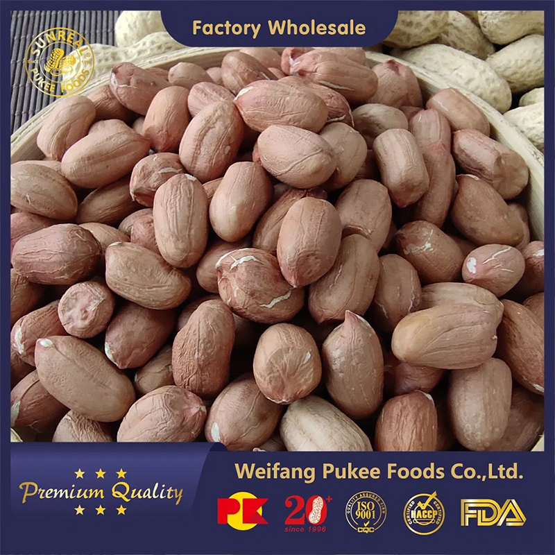 Raw Peanut Kernels with Skin/Virginia Type /Size 24/26