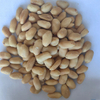 New Crop/Fried Peanut Kernels/Salted&Spicy&Tasty