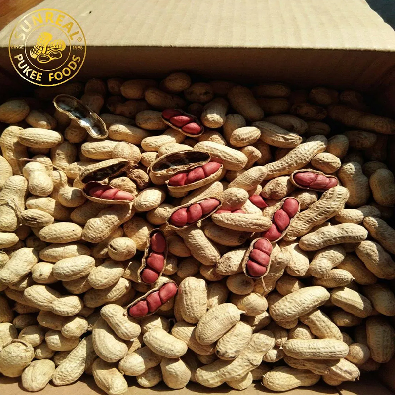 Red Skin/Peanut in Shell/Sunreal/Good Taste From China