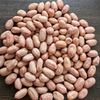 Raw Peanut Kernels with Skin/Virginia Type /Size 24/26