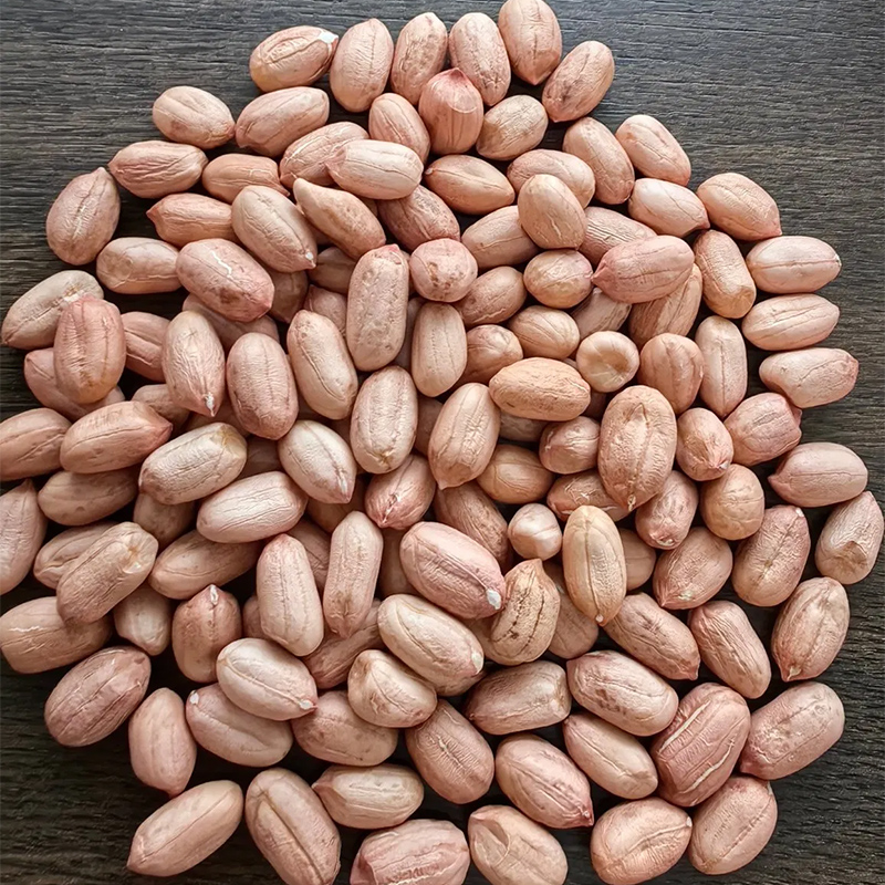 Raw Peanut Kernels with Skin/Virginia Type /Size 24/26