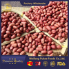 Roasted Peanut Kernels with Skin/Red Skin/Crispy&Fresh/Fine Packing
