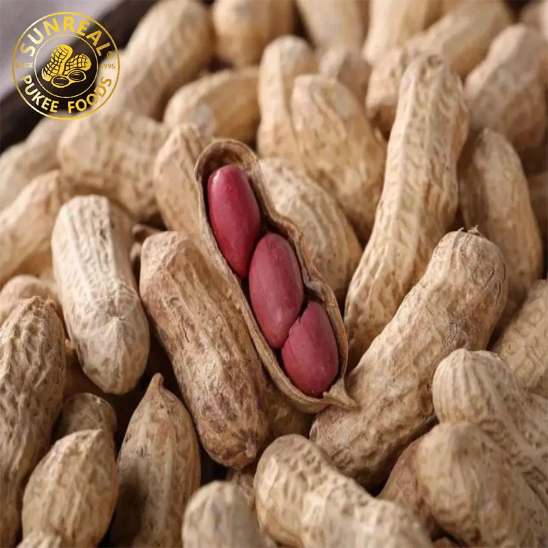 Red Skin/Peanut in Shell/Sunreal/Good Taste From China