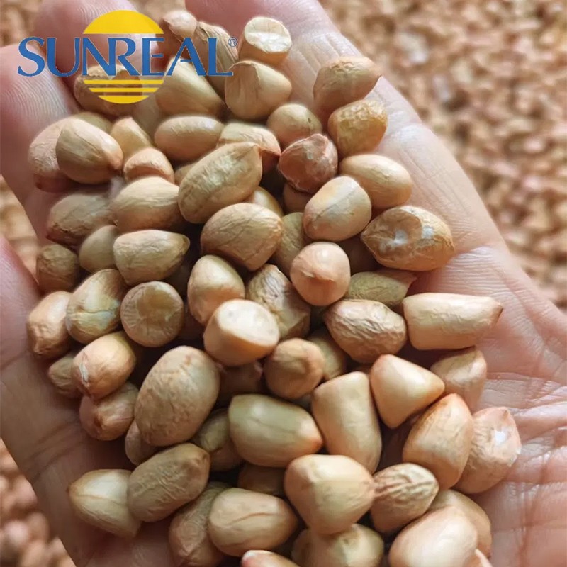 Raw Peanut Kernels/Hsuji/Fine Packing/Multipurpose/Good Price/All Size