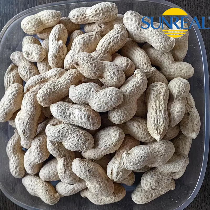 Virginia Peanuts /Raw Peanut in Shell /China /Haihua /New Crop
