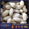 PukeeRaw Blanched Peanut KernelsVirginiaQuality AssuranceChina